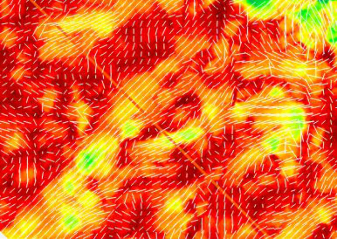 VVAZ - Delta Alpha Effective / Fracture Direction Vector Map Overlain, extracted from Austin Chalk